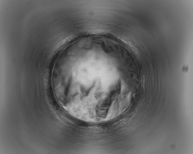 X0000090890591200708171707