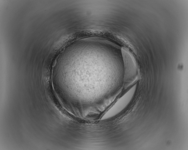 X0000090890593200708171707