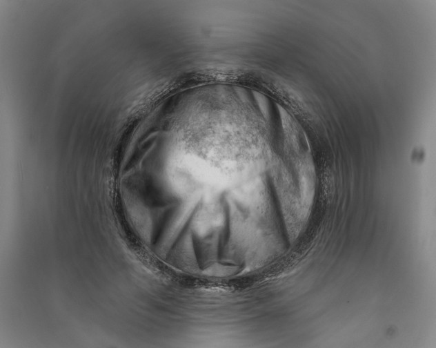 X0000090890594200708171707