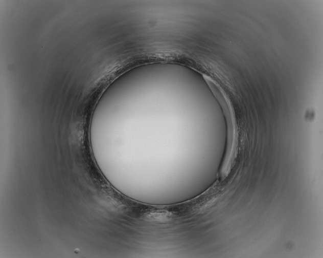 X0000090890595200708171707