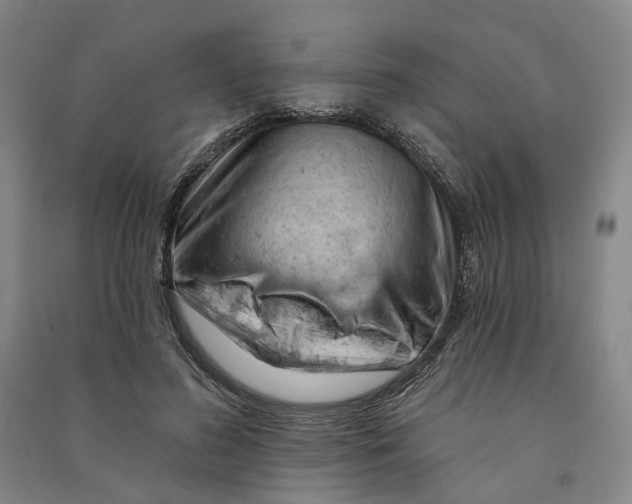 X0000090890596200708171707