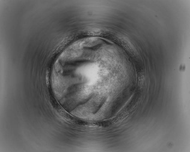 X0000090890598200708171707