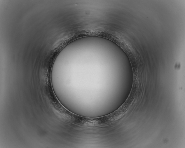 X0000090890599200708171707