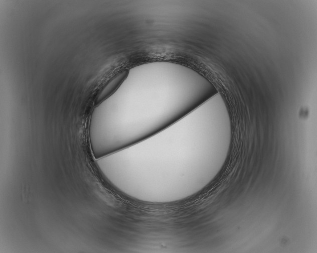 X0000090890601200708171707