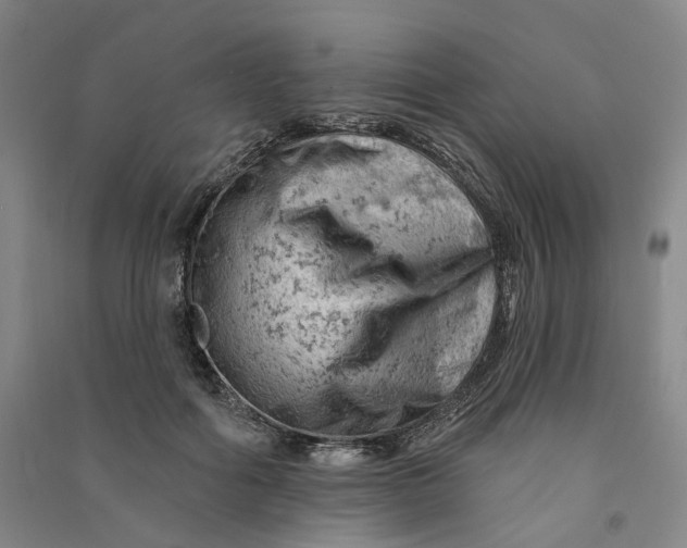 X0000090890602200708171707