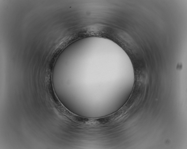 X0000090890603200708171707