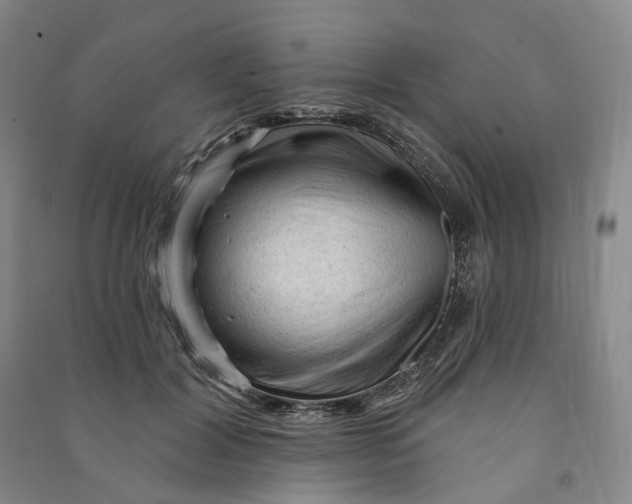 X0000090890604200708171707