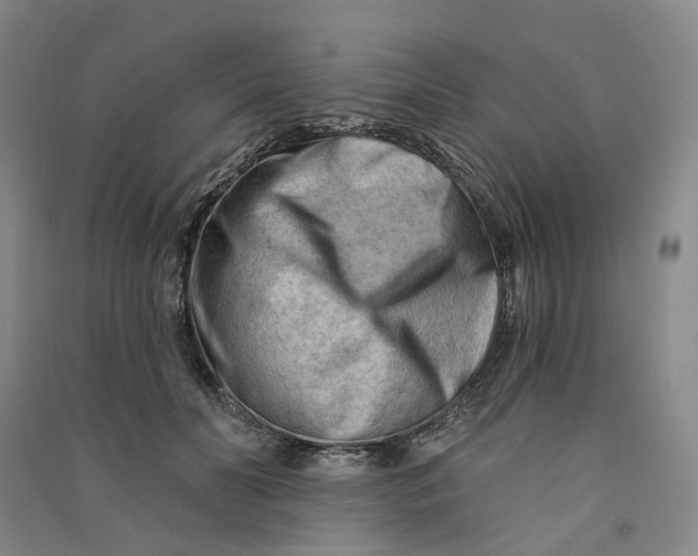 X0000090890606200708171707