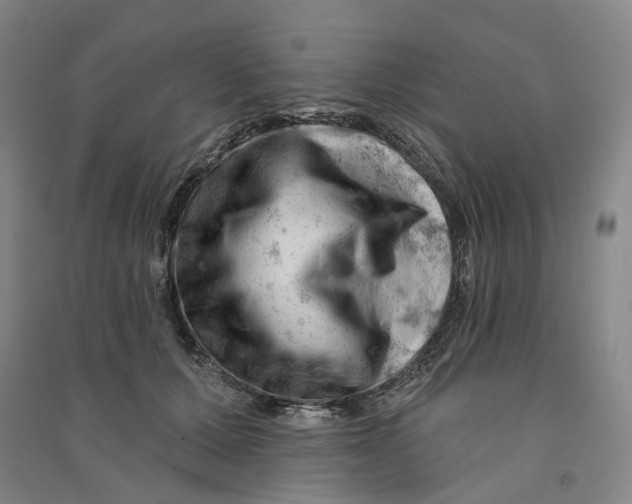 X0000090890607200708171707