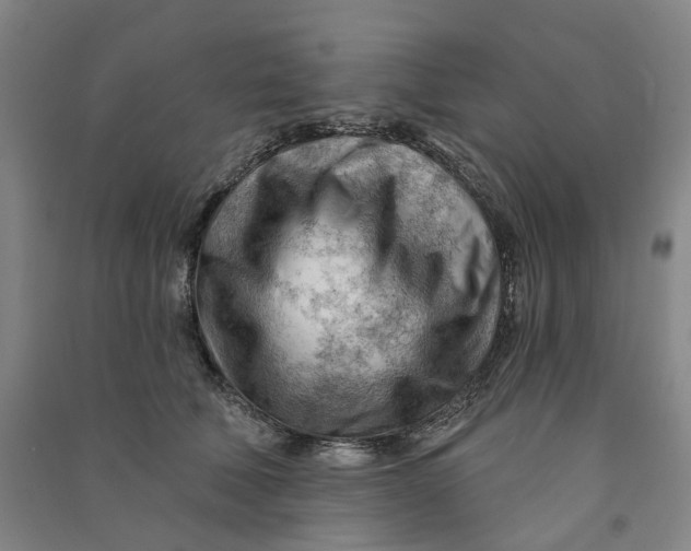 X0000090890610200708171707