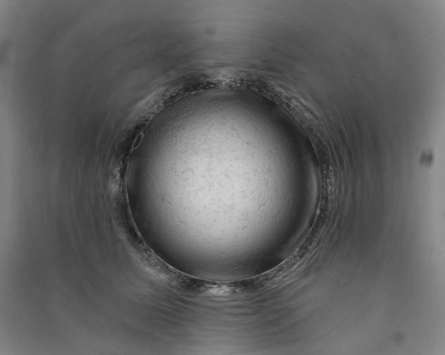 X0000090890611200708171707