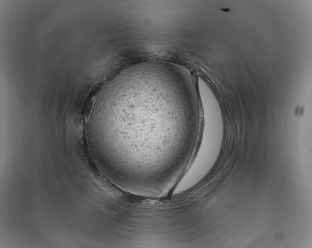 X0000090890613200708171707