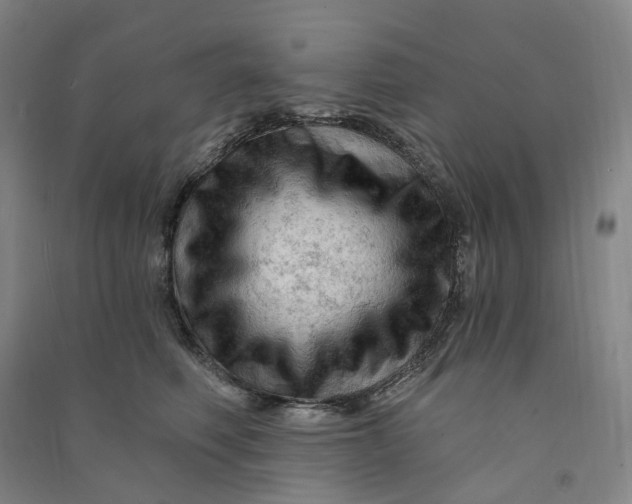 X0000090890614200708171707