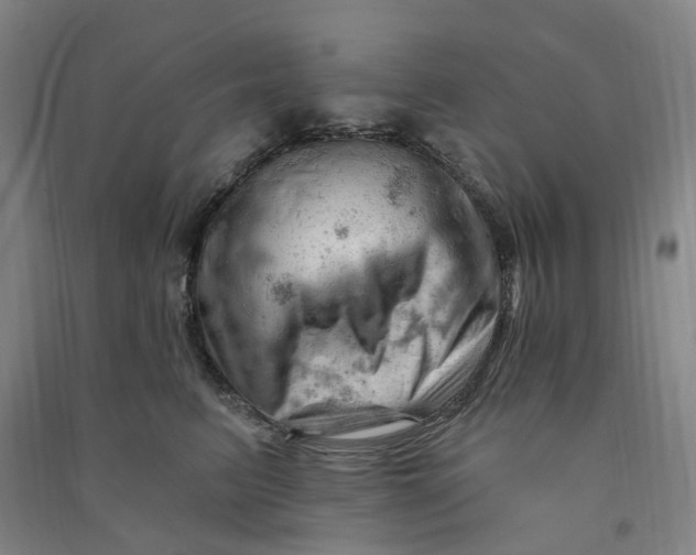 X0000090890615200708171707