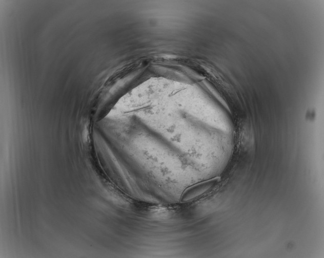 X0000090890616200708171707