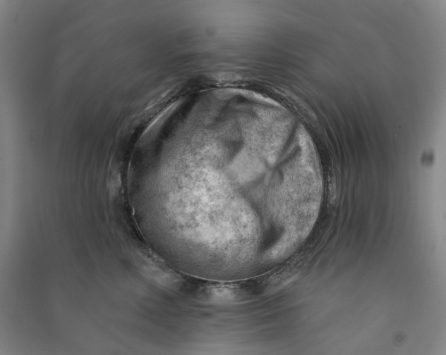 X0000090890618200708171707