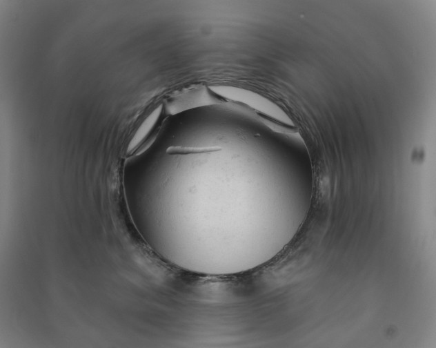 X0000090890620200708171707