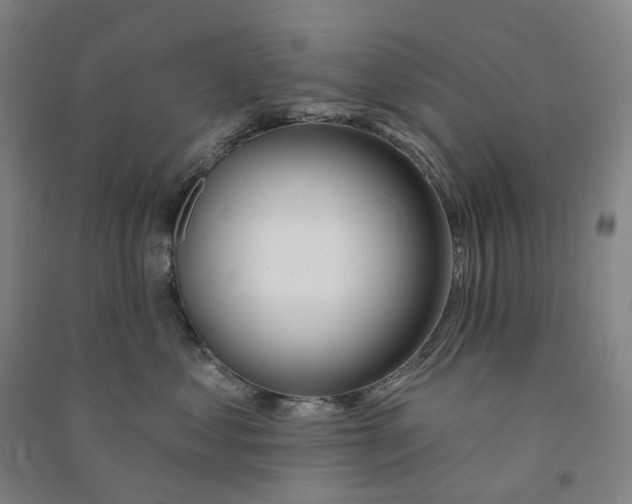 X0000090890621200708171707