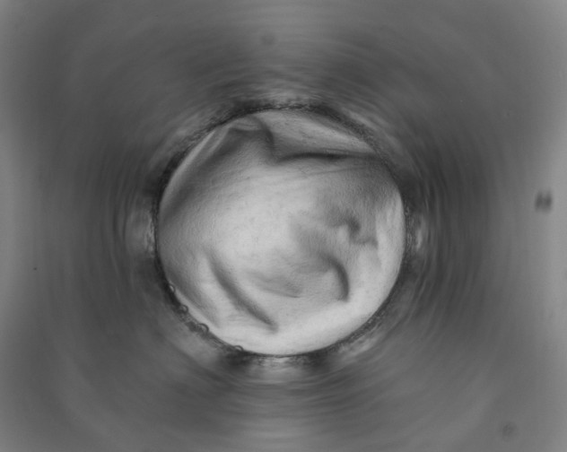 X0000090890622200708171707