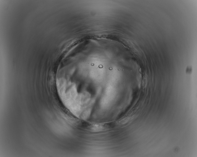 X0000090890623200708171707