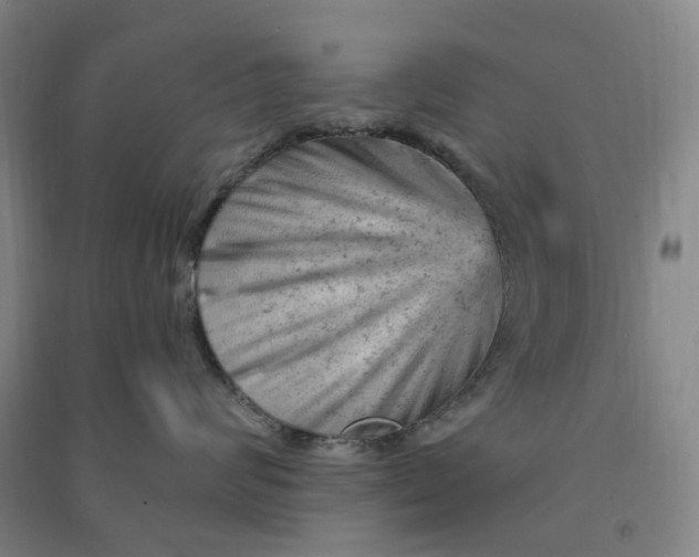 X0000090890624200708171707