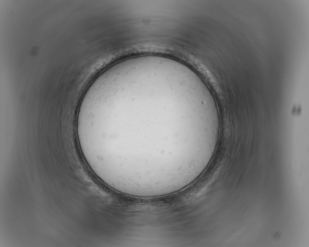 X0000090890625200708171706