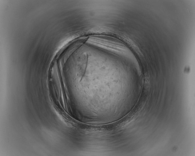 X0000090890626200708171706