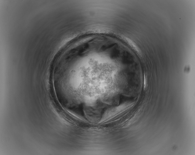 X0000090890627200708171706