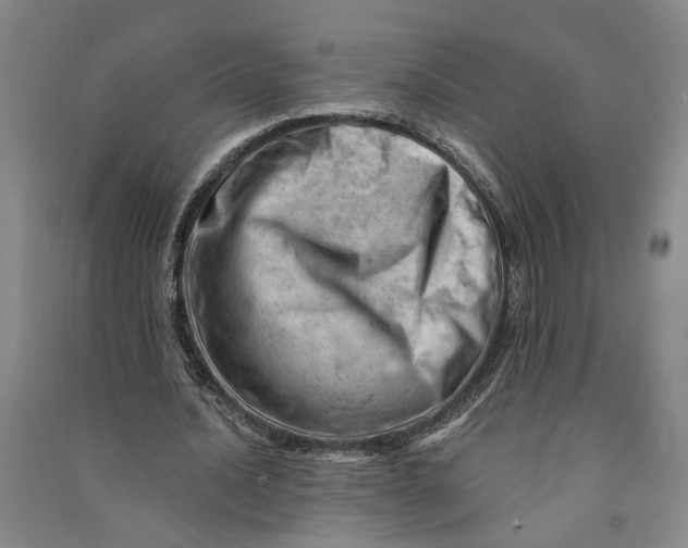 X0000090890628200708171706