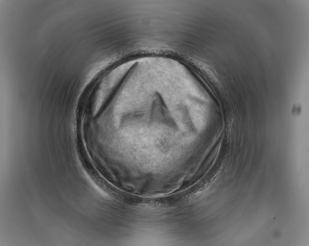 X0000090890630200708171706