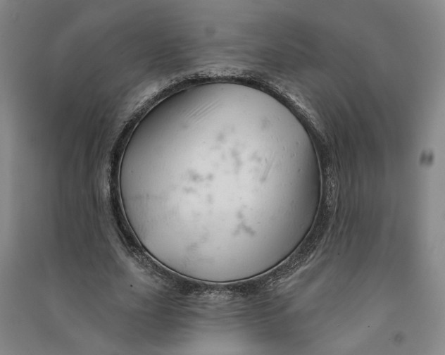 X0000090890631200708171706