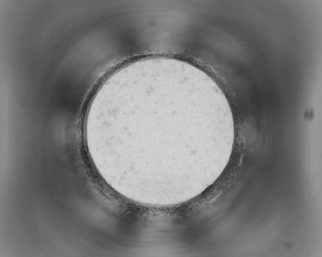 X0000090890632200708171706