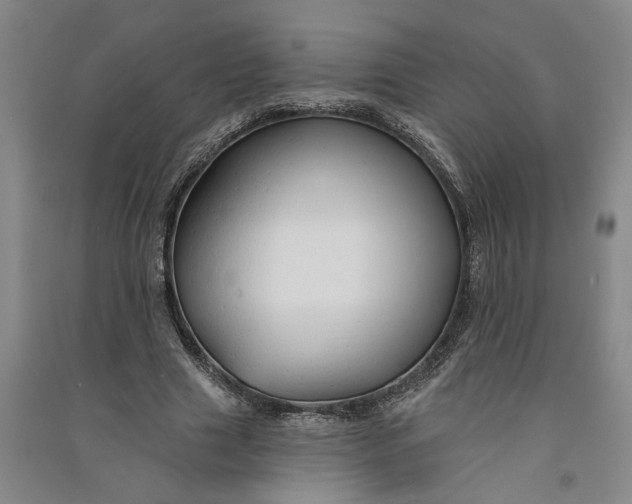 X0000090890633200708171706