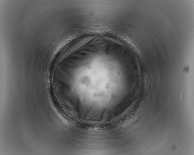 X0000090890634200708171706