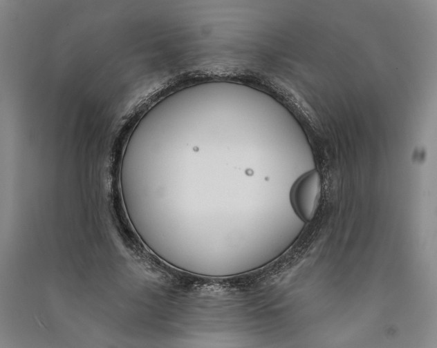 X0000090890635200708171706