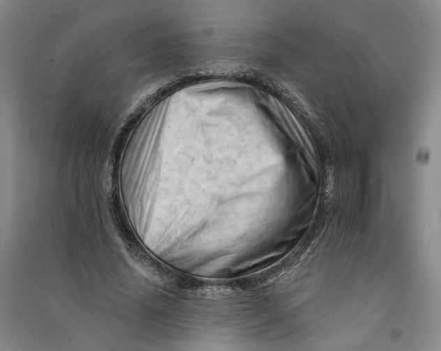 X0000090890636200708171706