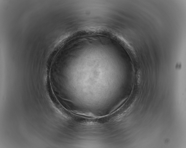 X0000090890637200708171706