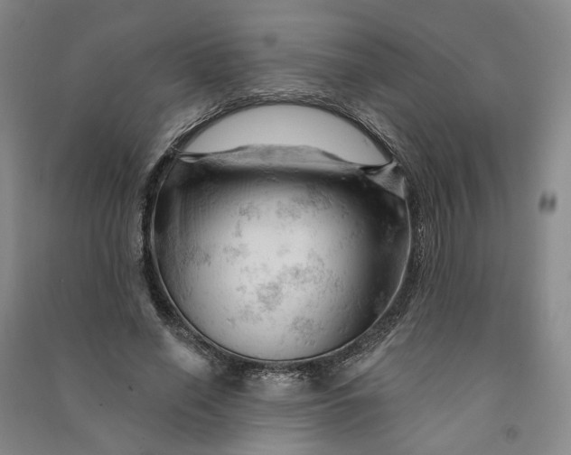 X0000090890638200708171706