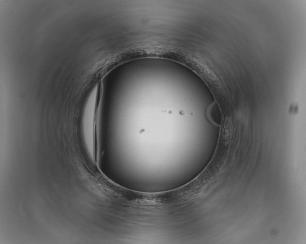 X0000090890639200708171706