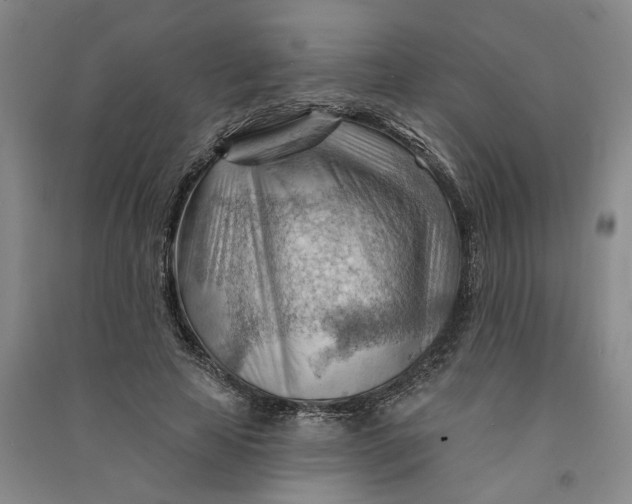 X0000090890641200708171706