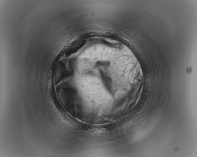 X0000090890642200708171706