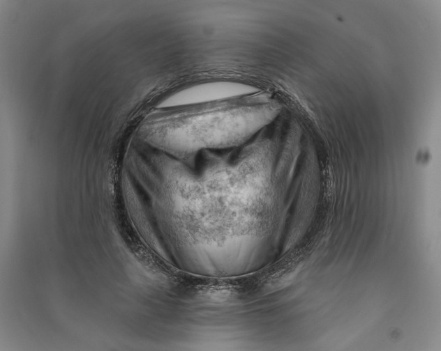 X0000090890643200708171706