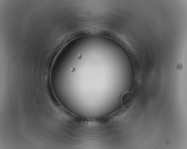 X0000090890645200708171706