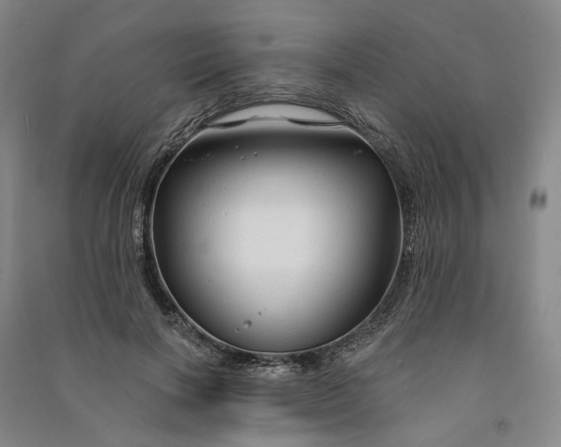 X0000090890646200708171706