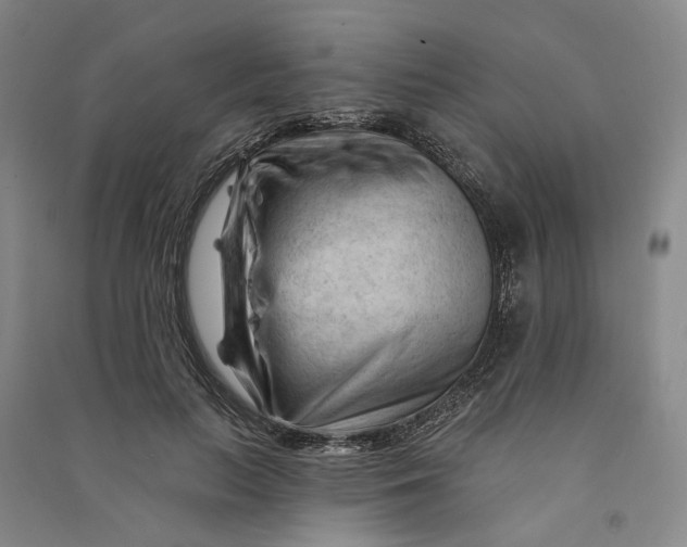 X0000090890647200708171706