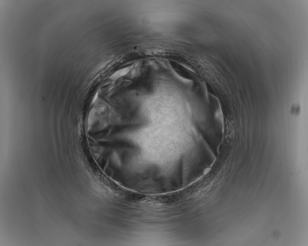 X0000090890648200708171706