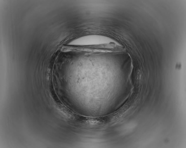 X0000090890650200708171706