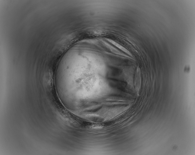 X0000090890651200708171706