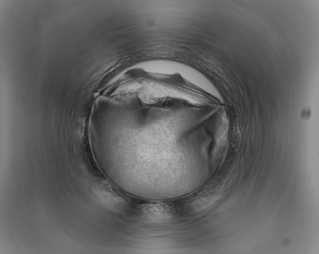 X0000090890652200708171707