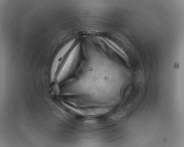 X0000090890653200708171707